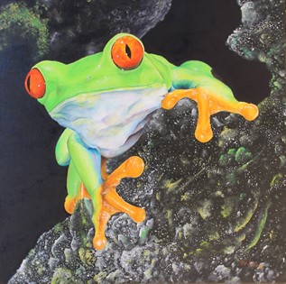 Rana dagli occhi rossi